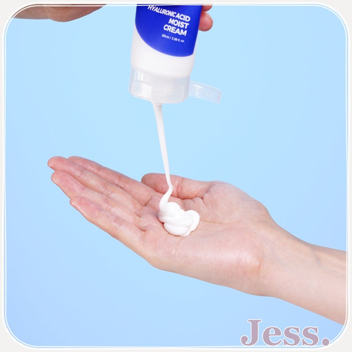 Isntree Hyaluronic Acid Moist Cream 100 ml