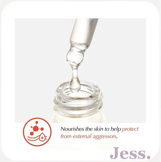 The Potions Camellia Japonica Seed Oil 20 ml